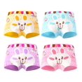 thumbnail image 1 of Calzoncillos de dibujos animados para niñas, ropa interior Modal, oso de frutas, bragas con estampado para niñas, calzoncillos para niños, calzoncillos suaves, calzoncillos florales de algodón Tan Jianjun unisex, 1 of 2