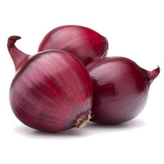 Red Burgundy Onion Seeds -100 Count Seed Pack - Non GMO - A Medium-Size red Onion Variety with a Purple-red Flesh.