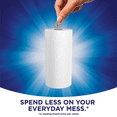 Sparkle PickASize Paper Towels, Spirited Prints, 6 Double Rolls, Everyday Paper Towel