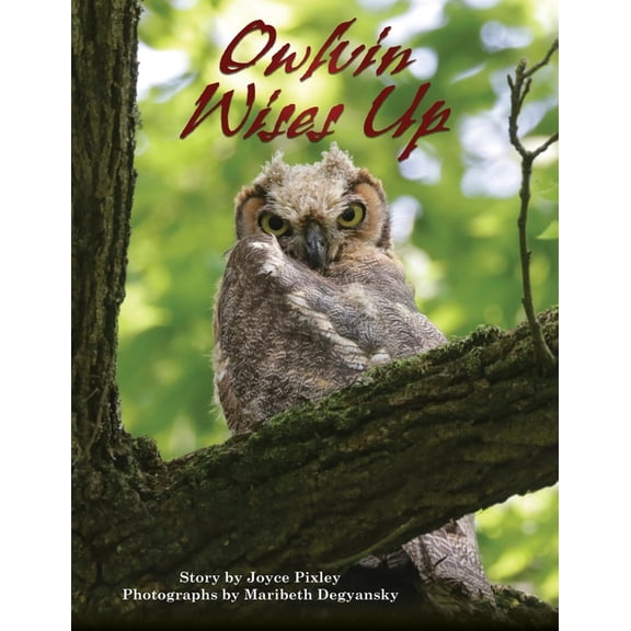 Owlvin Wises Up, (Paperback)