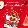 thumbnail image 2 of Jelly Belly Signature 10 Jelly Bean Collection - 3.5 oz Grab & Go® Bag - Genuine, Official, Straight from the Source, 2 of 9