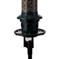 thumbnail image 1 of Squirrel Buster Adaptateur de Poteau Plus, 1 of 2