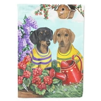Carolines Treasures PPP3080GF Dachshund Blooms Flag Garden Size  Small multicolor