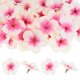 thumbnail image 1 of Uxcell 50-Pack Cabezas de Flores de Orquídea Artificial, 2.17"/ 5.5cm Flores de Orquídea Falsas de Seda para Manualidades DIY, Rosa+Blanco, 1 of 1