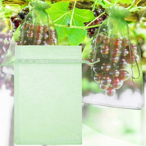 100 x Bolsas protectoras para uvas, bolsas de protección para frutas, bolsas de organza reutilizables para jardín con cordón para protección contra avispas y pájaros, 30 cm x 20 cm, verdes