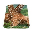 thumbnail image 2 of CADecor Green Hills and Giraffes Fleece Blankets Bed Throws 58x80 Inches, 2 of 3