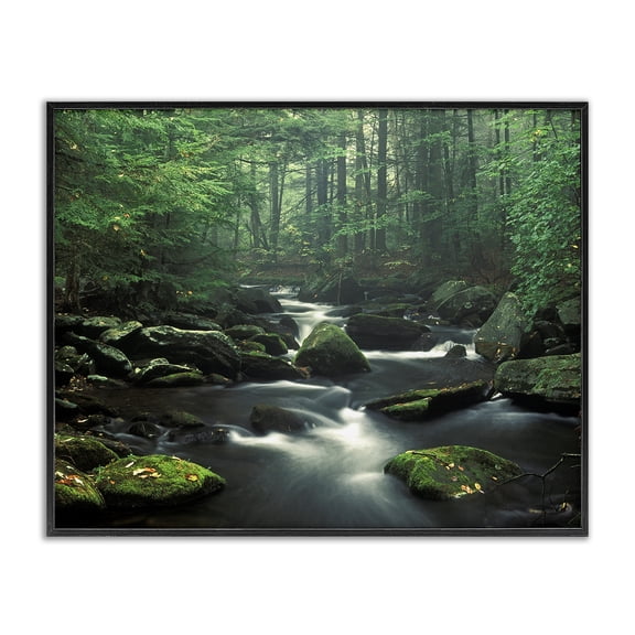 Stupell Industries Traditional Woodland Creek Landscape Black Framed Giclee Art, 30 x 24, by Patrick Zephyr