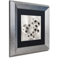 thumbnail image 2 of Trademark Fine Art "Florison 58" Canvas Art by Alan Blaustein, Black Matte, Silver Frame, 2 of 4