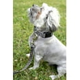 thumbnail image 3 of Country Brook Petz® Leopard Print Everyday Dog Collar and Leash, Extra Small, 3 of 7