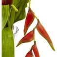 thumbnail image 4 of Bromeliad and Heliconia in Vase, 4 of 4