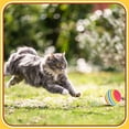 thumbnail image 5 of Pelota de juguete para gato arcoíris de 10 Uds., pelota de juguete interactiva para gatitos de interior, pelota de esponja silenciosa, 5 of 5