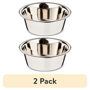 Vibrant Life Medium Stainless Steel Pet Bowl 2-Pack