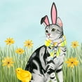 thumbnail image 2 of Popp, Grace 15x15 White Modern Wood Framed Museum Art Print Titled - Easter Cats III, 2 of 4