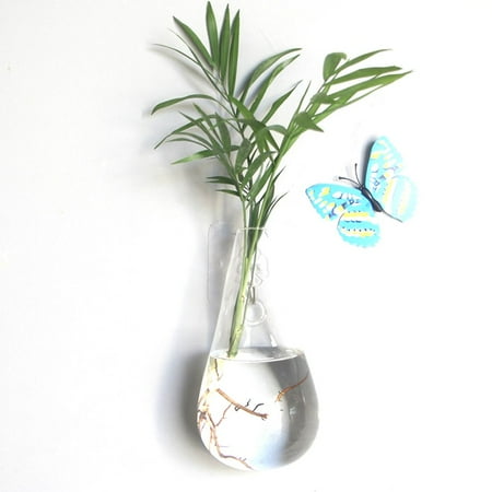 Wall Hanging Hydroponic Glass Vase Transparent Fish Tank Green