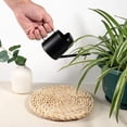 thumbnail image 4 of Petit Arrosoir Mini en Acier Inoxydable pour Enfants Intérieur Bureau Plante Succulente, 4 of 7