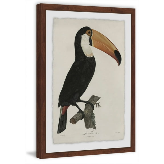 Marmont Hill Mh-Vntrpl-81-Dwfpfl-24 24" X 16" "Quiet Toucan" Framed Giclee Painting On