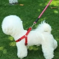 thumbnail image 5 of Dog Leash Long Lead Training Tracking Line Comfortable Handle Heavy Duty Puppy Rope for Small Medium Large Dog, 5 of 5