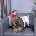 thumbnail image 2 of Pavilion Gift Company - Red Striped - 3" x 1.75" Canvas Pet Bow Tie, 2 of 4
