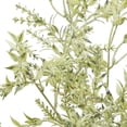 thumbnail image 3 of Hill Interiors Broom Artificial Flower, 3 of 4