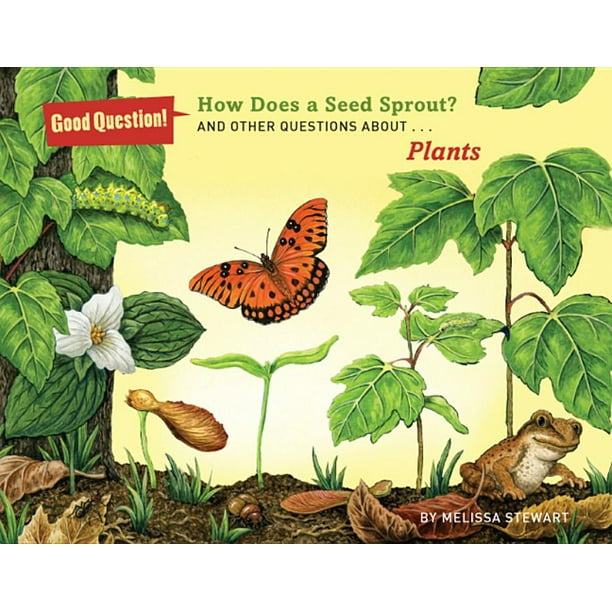 Good Question! (Quality Paperback) How Does a Seed Sprout? And Other