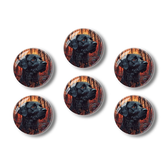 Glass Refrigerator Magnet 6Pcs Magnetic Fridge Sticker,Decor for Kitchen,Whiteboard,Cabinet,Black Labrador Retriever In The Forest