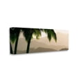 thumbnail image 2 of Stupell Industries Tropical Palm Tree Overlooking Sunlit Mountain Valley Tropical Photography Gallery-Wrapped Canvas Print Wall Art, 48 x 20, Design by Dennis Frates, 2 of 5