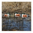 thumbnail image 3 of GHG Over-Size Weighted Keel Northern Shoveler Duck Decoys 6PK, 3 of 3