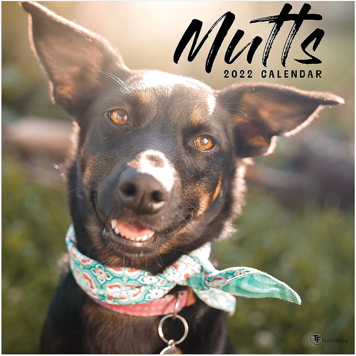 2022 - 2023 Dog Monthly Wall Calendar, 16 Month Large Grid, Mutts Animals Pet Theme, 12 X 12 In - Walmart.com