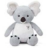 Gray Koala