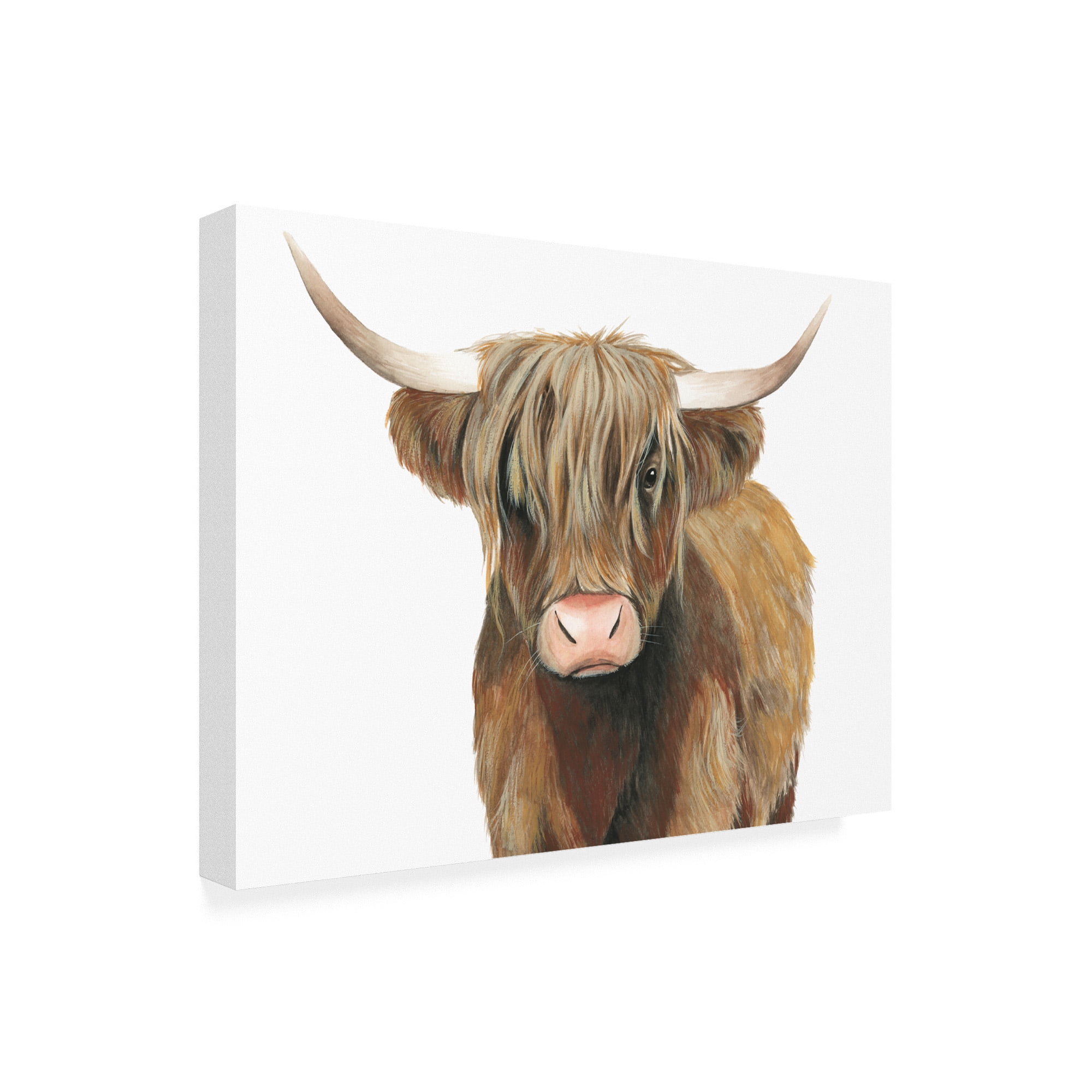 Trademark Fine Art 'Highland Cattle II' Canvas Art by Grace Popp