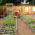 thumbnail image 3 of Yjiankangz Aluminium Yard Sign Peppers Vegetable Garden Sign 4.6x6inch Outdoor Natural Retro Metal Signs Plant Markers And 12.8" Stake Kit, 3 of 7
