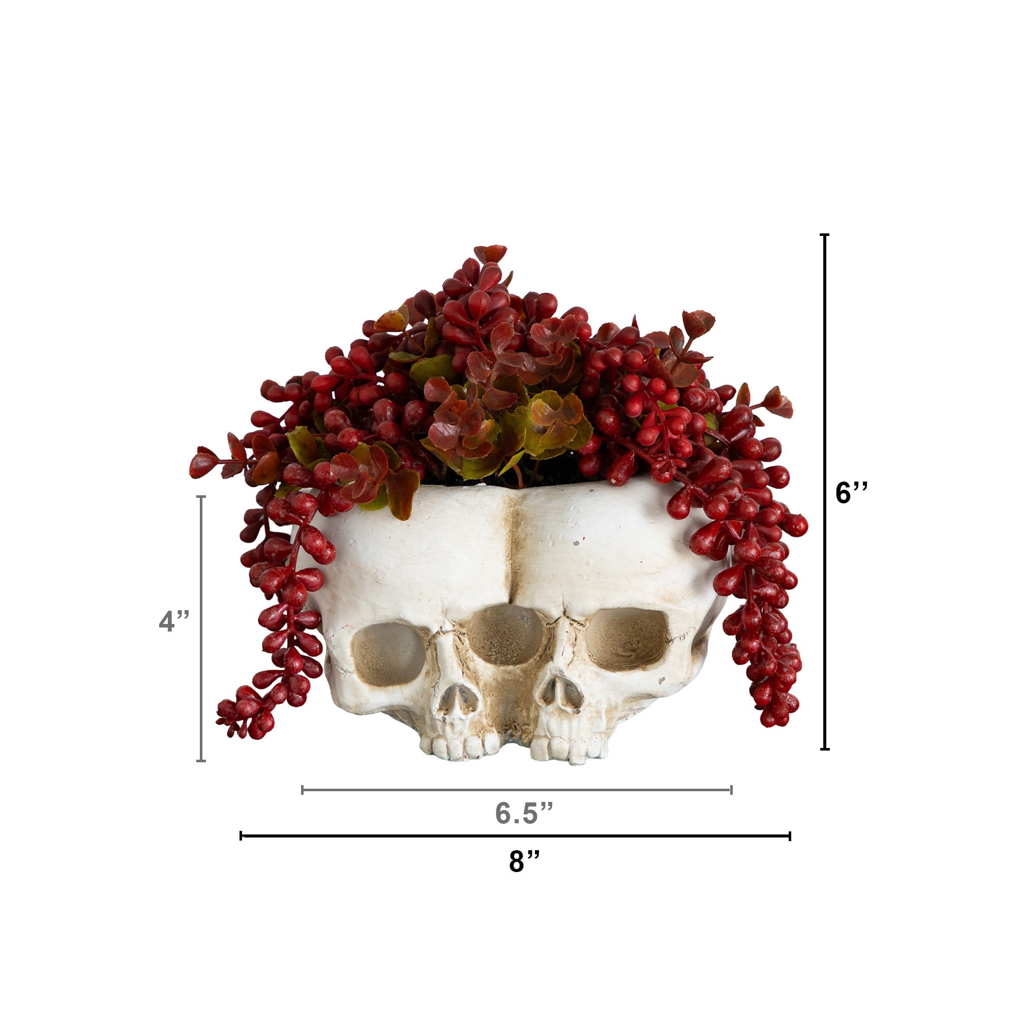 6in. Artificial Halloween String of Pearls in Double Skull Planter