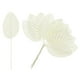 thumbnail image 1 of Uxcell 120Pcs Hojas de Seda Artificial, Hojas Individuales de Alambre Falsas, Flor Falsa Blanca Lechosa, 1 of 1