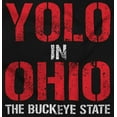 thumbnail image 2 of OH Pride YOLO in Ohio Souvenir Unisex Plus Fleece Graphic Hoodie Brisco Brands 2X, 2 of 5