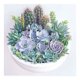 thumbnail image 1 of Cuadros Decorativos 5D DIY Diamond Painting Kits Full Round Drill Suculentas Mosaico Imagen (NH2402) Likrtyny  embutido en tela, 1 of 8