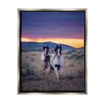 Stupell Industries Spotted Horses at Sunrise Animals & Insects Photography Gray Floater Framed Canvas Art Print Wall Art, 17 x 21