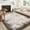 Light Brown, variant on Large Area Rugs 6x9 Green Modern Bordered Abstract Washable Rug Soft Non-Slip Low Pile Area Rug Throw Carpet Dining Room Home (Green 6'x9')