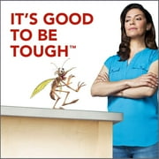 Raid Flying Insect Killer Aerosol Spray - Insecticide, Indoor Use - 15 oz