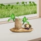 thumbnail image 5 of Plantas en macetas de madera brasileñas con estatuilla de monje Plantas de tocón de árbol hidropónico, 5 of 9