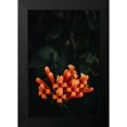 thumbnail image 2 of Mossholder, Tim 11x14 Black Modern Framed Museum Art Print Titled - Orange Flowers, 2 of 5