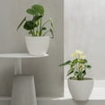thumbnail image 5 of La Jolie Muse Flower Pots Outdoor Garden Planters, Indoor Plant Pots W/ Drainage Holes, Matte White (19 +22cm), 5 of 6