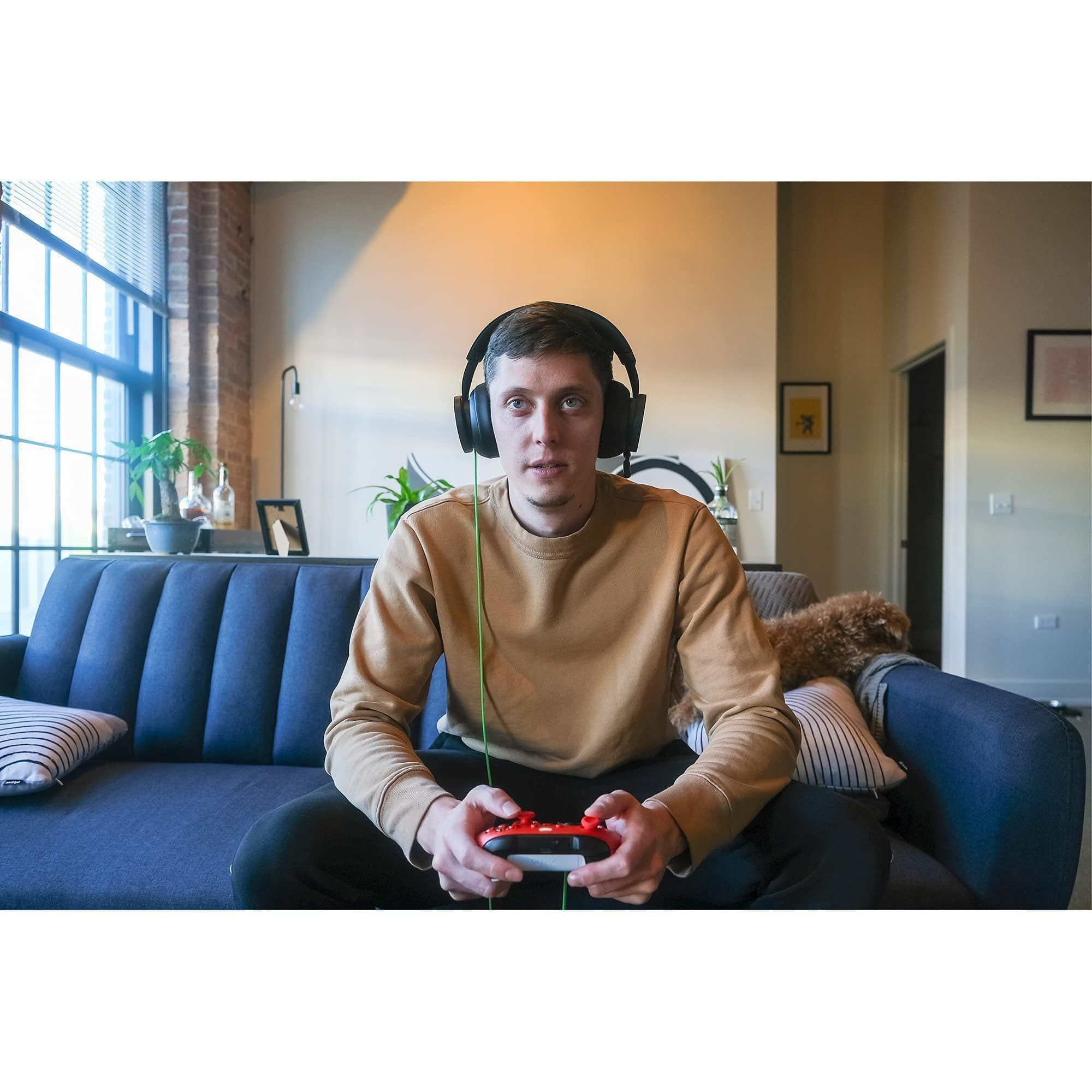 Xbox Wired Stereo Headset for Xbox Series S/X