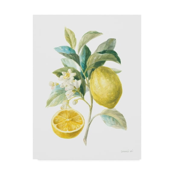Trademark Fine Art 'Floursack Lemon III on White' Canvas Art by Danhui Nai