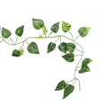 thumbnail image 2 of 6.89 pies de Largo Reptiles Vines Hojas Artificiales Falsos Jungla Flexible Escalador para Reptiles y Anfibios decoración de hábitat(Hojas de scindapsus) Ecomeon no, 2 of 4