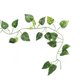 thumbnail image 2 of 6.89 pies de Largo Reptiles Vines Hojas Artificiales Falsos Jungla Flexible Escalador para Reptiles y Anfibios decoración de hábitat(Hojas de scindapsus) Peque?o animal Colgante Spptty Suministros para reptiles, 2 of 7