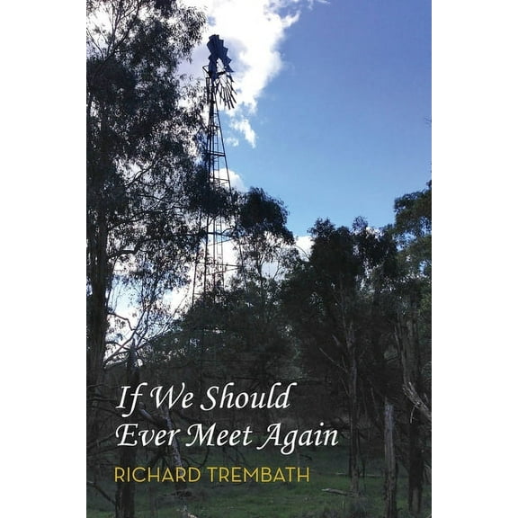 If We Should Ever Meet Again, (Paperback)