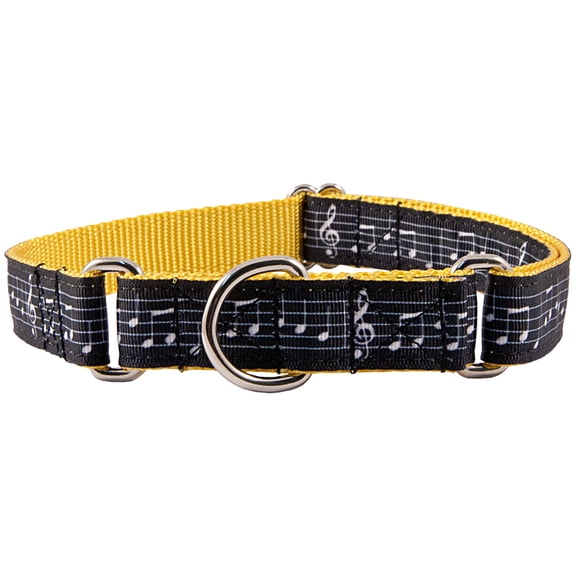 Country Brook Petz® Sheet Music on Gold Grosgrain Ribbon Martingale Collar, Medium