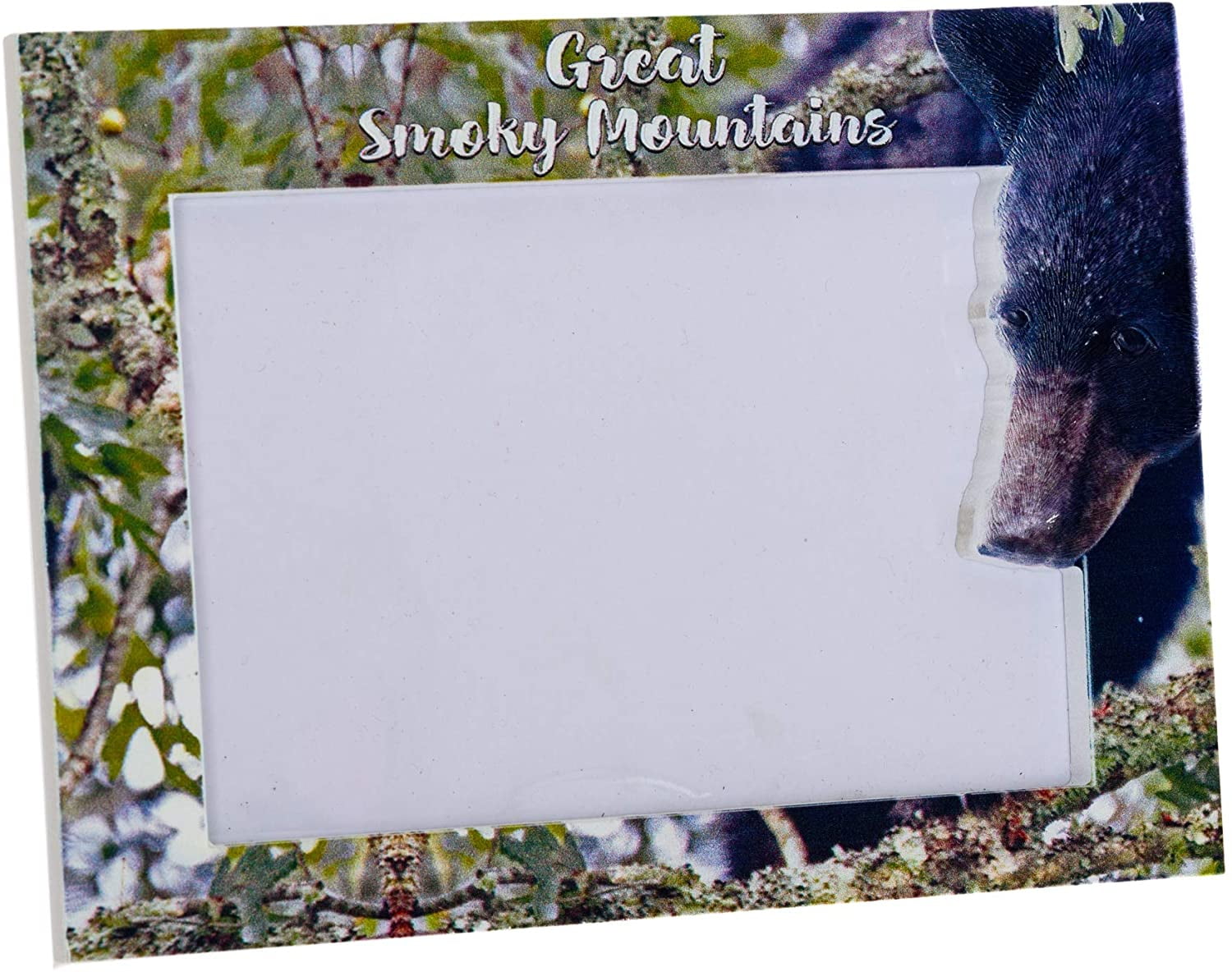 The Future is Bright Decorative Expressions 4 x 6 Inch Laser Cut Wooden Picture Frame The Future is Bright Decorative Expressions 4 x 6 Inch Laser Cut Wooden Picture Frame