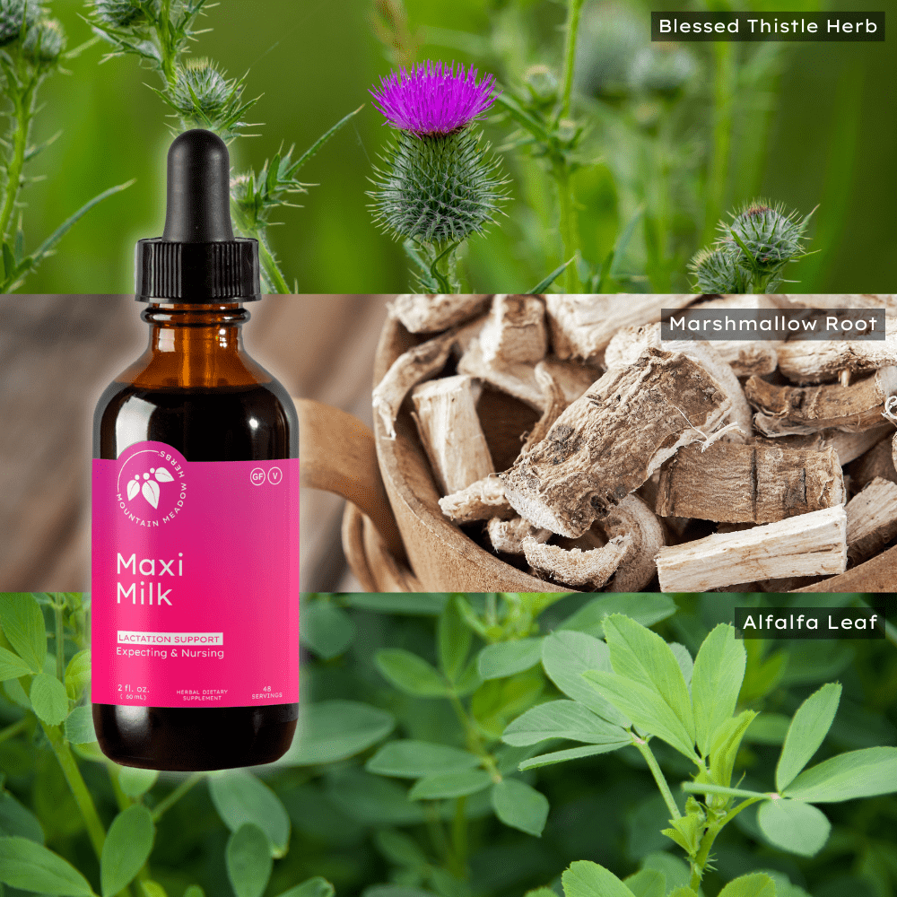 Mountain Meadow Herbs Maxi-Milk - 2 oz - All Natural Liquid Lactation Supplement with Chaste Tree Berry