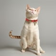 thumbnail image 3 of Unique BargainsCat Collar Adjustable Breakaway Feature PU Cat Collar Breakaway with Bell Red, 3 of 7